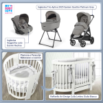 Kit Nascita con Inglesina Trio Aptica Platinum Grey e Darwin Infant Recline + Raffaello Art Design Culla Lettino Giulia Bianco