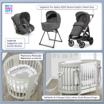 Kit Nascita con Inglesina Trio Aptica Velvet Grey e Darwin Infant Recline + Raffaello Art Design Culla Lettino Giulia Bianco/Grigio