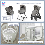 Kit Nascita con Inglesina Trio Aptica Platinum Grey e Darwin Infant Recline + Raffaello Art Design Culla Lettino Giulia Bianco/Grigio