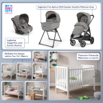 Kit Nascita con Inglesina Trio Aptica Platinum Grey e Darwin Infant Recline + Raffaello Art Design Culla Lettino Teo Bianco 7in1