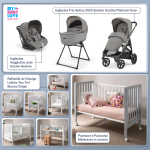 Kit Nascita con Inglesina Trio Aptica Platinum Grey e Darwin Infant Recline + Raffaello Art Design Culla Lettino Teo Bianco/Grigio 7in1