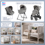 Kit Nascita con Inglesina Trio Aptica Platinum Grey e Darwin Infant Recline + Raffaello Art Design Culla Lettino Teo Bianco/Tortora 7in1