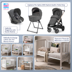 Kit Nascita con Inglesina Trio Aptica Velvet Grey e Darwin Infant Recline + Raffaello Art Design Culla Lettino Teo Bianco/Tortora 7in1