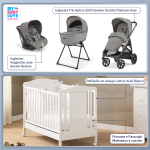 Kit Nascita con Inglesina Trio Aptica Platinum Grey e Darwin Infant Recline + Lettino Raffaello Art Design Ariel Bianco