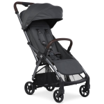 Passeggino Mast M.1X Col Volcanic Ash